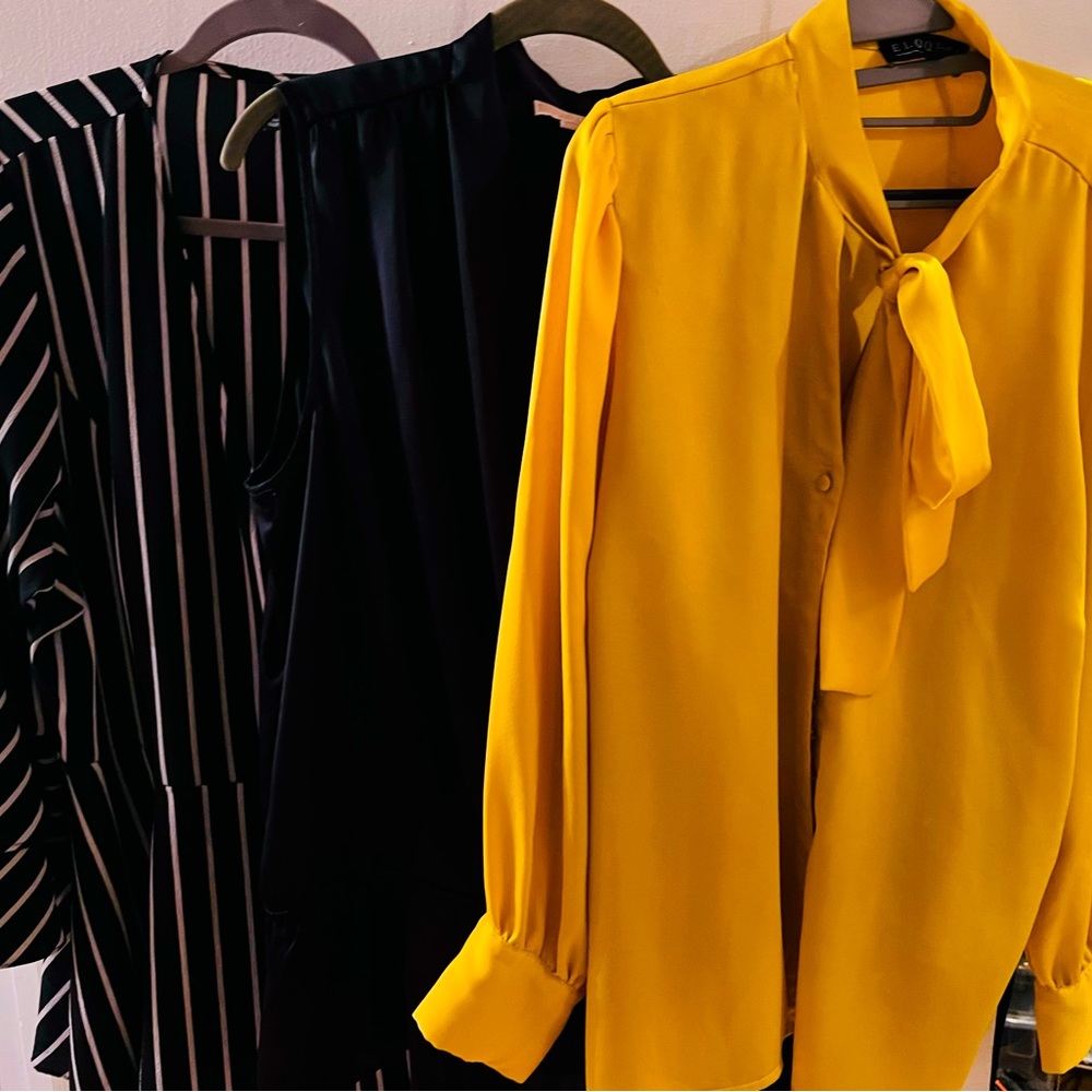 Ladies business dress shirts